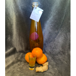 Kombucha, Ginger and Citrus 750ml